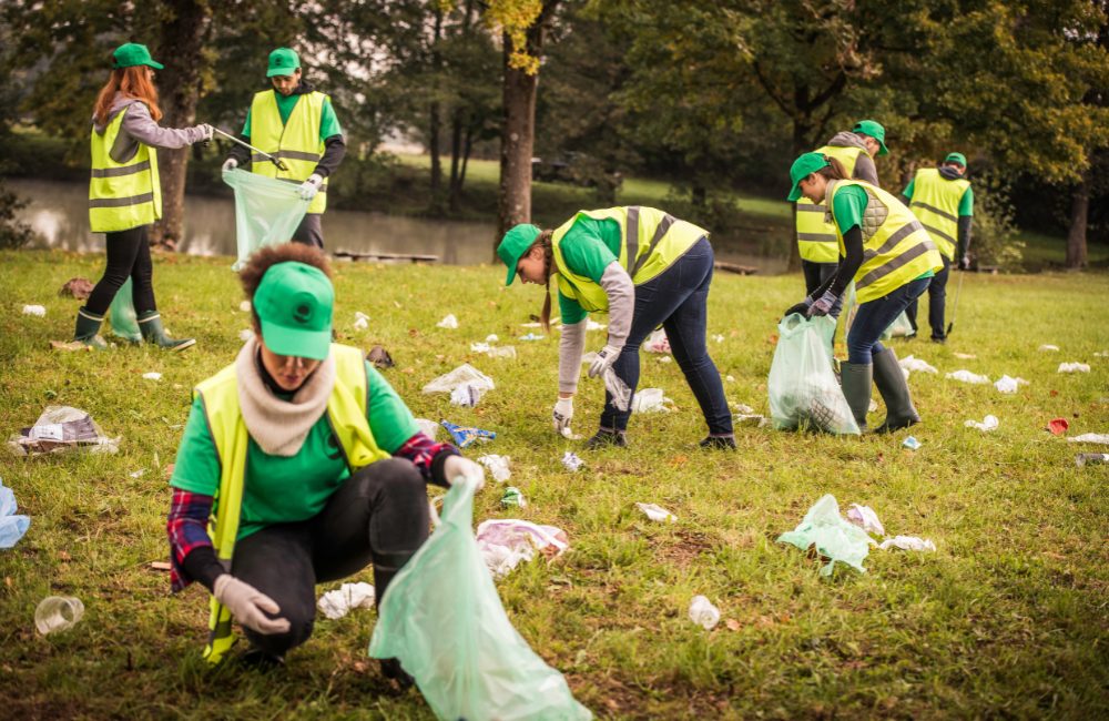 Commercial Day Porting Services